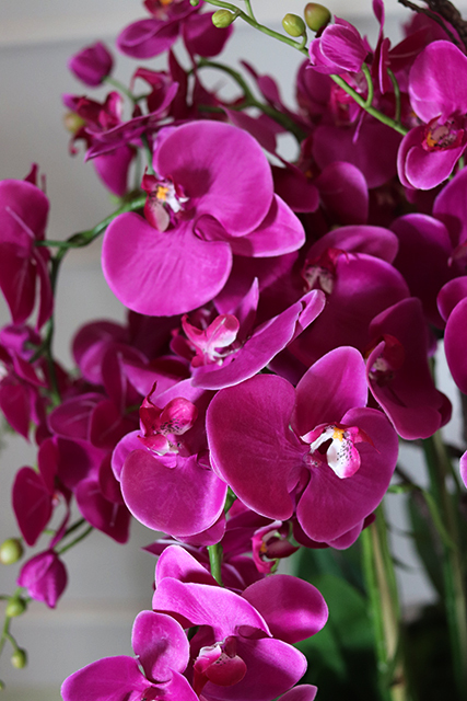 Fuksja Silverro, ogromny, podłogowy storczyk w lustrzanej donicy, wys.116cm