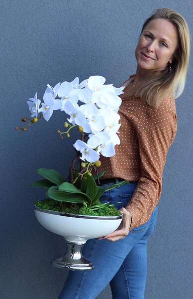 Jedua, elegancki storczyk w białym pucharze glamour, wys.67cm  