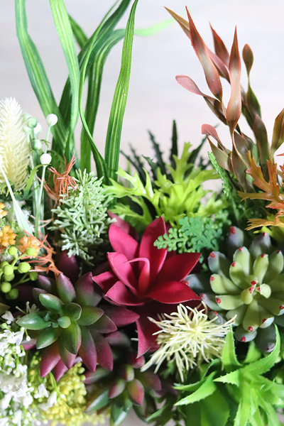 kompozycja sukulenty w długiej donicy, Hektor D, dł.48cm