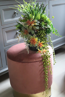 kompozycja sukulenty w czarnym naczyniu, Ysella, wys.40cm 