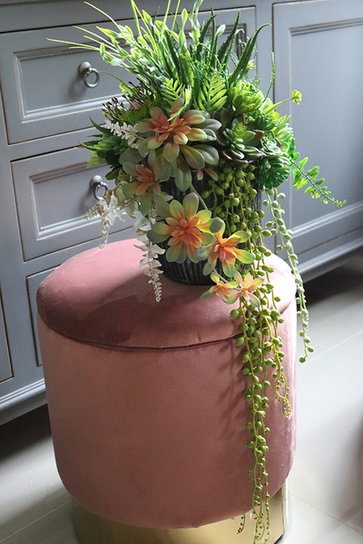 kompozycja sukulenty w czarnym naczyniu, Ysella, wys.40cm