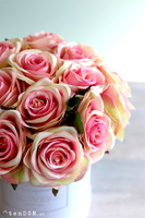 bogaty flowerbox z różami, Sorella, wys.28cm