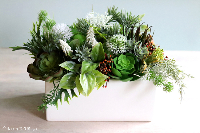 Japano 2, sukulenty w białej ceramicznej donicy, wys.24cm