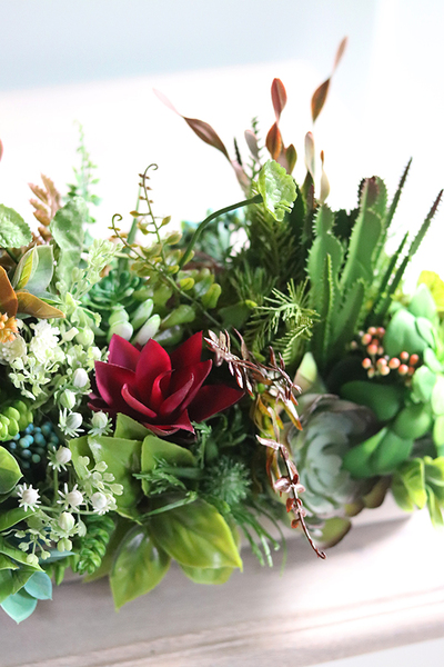 kompozycja sukulenty w długiej donicy, Hektor Red, dł.48cm 