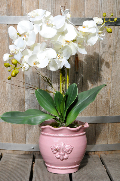 sztuczny storczyk Tenesse Pink w kolorze naturalnej bieli, wys. ok. 66cm