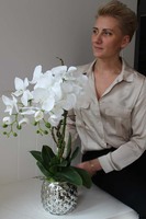 Petralia zjawiskowy storczyk w srebrnej donicy, wys.60cm