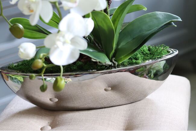 Laos Big Silver New, storczyk w srebrnej donicy, wys.70cm