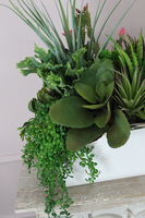 Anya Silver&White, kompozycja z sukulentów, wys.38cm