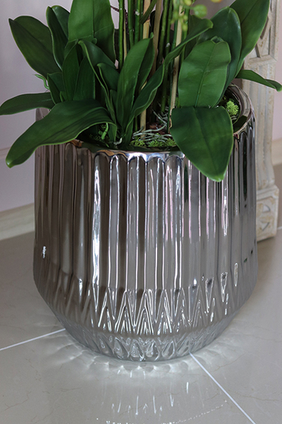 Fuksja Silverro, ogromny, podłogowy storczyk w lustrzanej donicy, wys.116cm