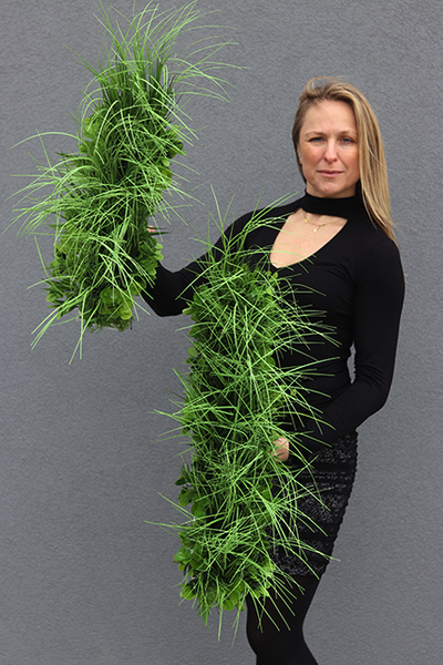Telega, nowoczesna kompozycja traw i sukulentów, wys.50cm
