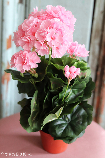doniczkowa pelargonia Jasnoróżowa, wysokiej jakości sztuczne kwiaty, wys.36cm  