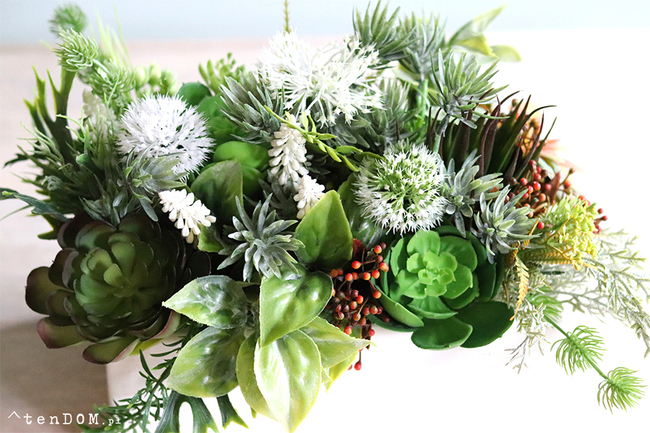 Japano 2, sukulenty w białej ceramicznej donicy, wys.24cm