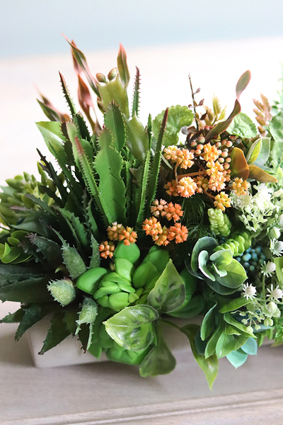 kompozycja sukulenty w długiej donicy, Hektor Red, dł.48cm