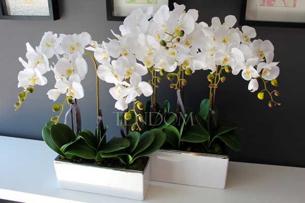 sztuczny storczyk Leo Big, wys.64cm 