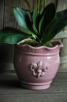 sztuczny storczyk Tenesse Pink w kolorze naturalnej bieli, wys. ok. 66cm