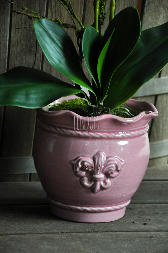 sztuczny storczyk Tenesse Pink w kolorze naturalnej bieli, wys. ok. 66cm