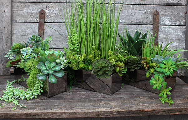 Anya 2, piękna kompozycja Sukulenty w lustrzanej donicy, wys.38cm