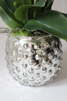 Petralia zjawiskowy storczyk w srebrnej donicy, wys.60cm