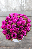 box / bukiet Flowerbox Premium Mercedes, wys.16cm