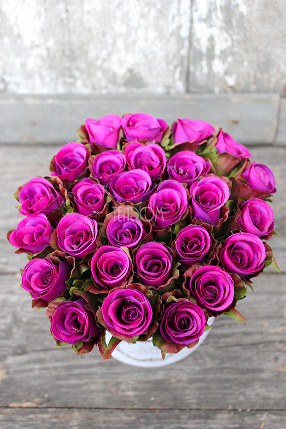 box / bukiet Flowerbox Premium Mercedes, wys.16cm