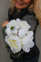 bukiet kwiatów piwonii Peonia 3, wys.35cm