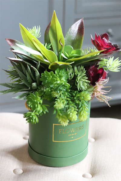 Alberto, flowerbox z sukulentów w zielonym pudełku, wys.36cm