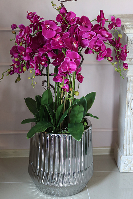 Fuksja Silverro, ogromny, podłogowy storczyk w lustrzanej donicy, wys.116cm