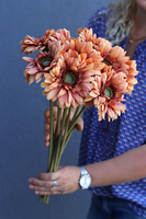 Gerbery Flamenco, bukiet pomarańczowych kwiatów, dł.51cm