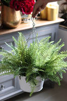 kompozycja w wiszącej donicy, Paproć Rella, wys.38cm