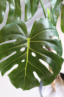 Drzewko Monstera, sztuczne drzewo w doniczce