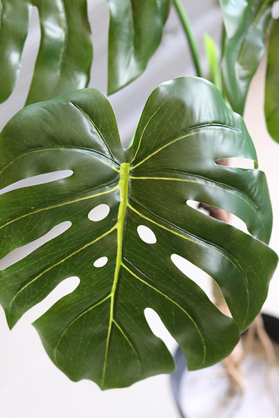 Drzewko Monstera, sztuczne drzewo w doniczce