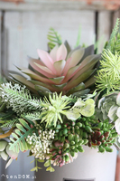 Arizona, flowerbox z sukulentami, wys.40cm 
