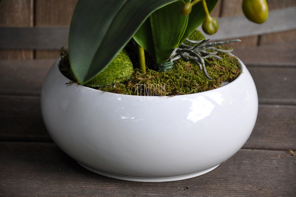 jasnoróżowy storczyk Terrance w białej donicy, wys.58cm