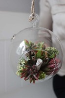 dekoracja mini w szklanej kuli / zawieszka, Gardenia Orchid B, śr.13cm