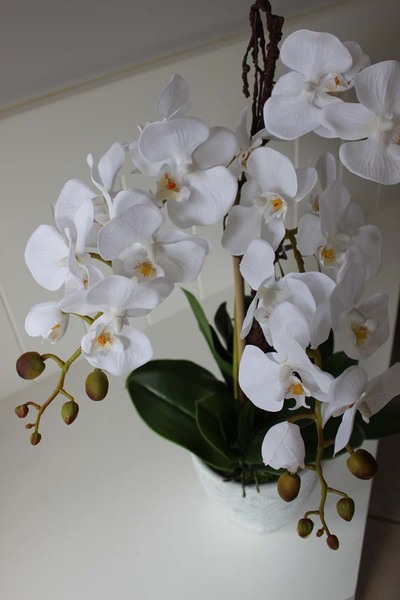 niezwykle elegancki, sztuczny storczyk Ranello, wys.65cm