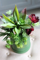 Alberto, flowerbox z sukulentów w zielonym pudełku, wys.36cm