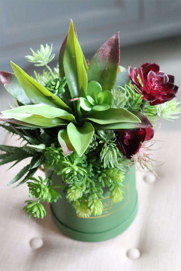 Alberto, flowerbox z sukulentów w zielonym pudełku, wys.36cm