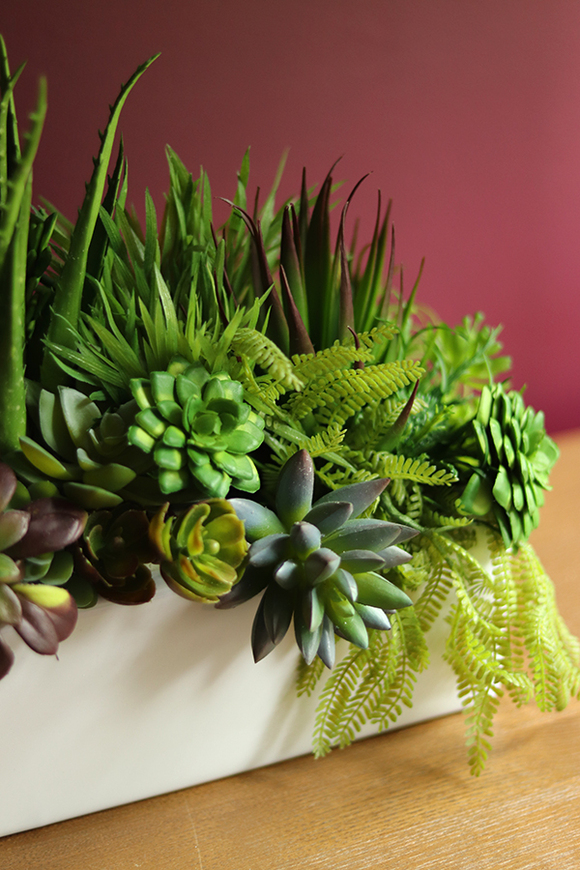 Maya, kompozycja z sukulentów, wys.35cm