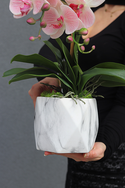 storczyk w donicy o marmurowym wzorze Pink Marble, wys.50cm