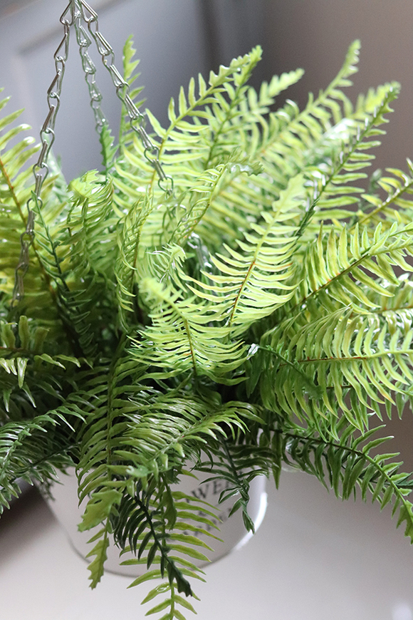 kompozycja w wiszącej donicy, Paproć Rella, wys.38cm