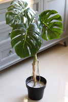 Drzewko Monstera, sztuczne drzewo w doniczce, wys.124cm