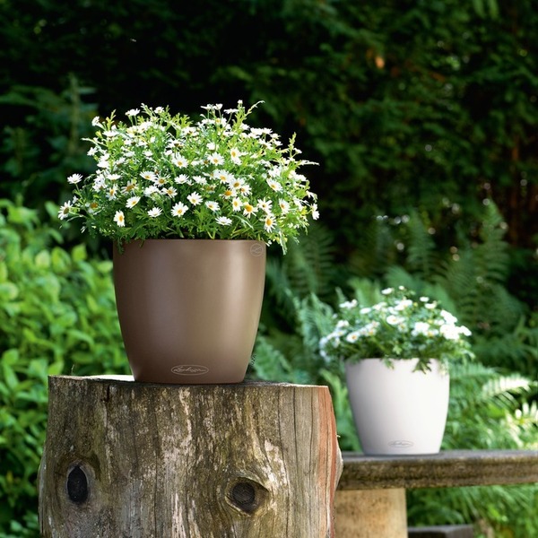 Classico, elegancka donica z nawadnianiem, brązowa, wym.20x21cm