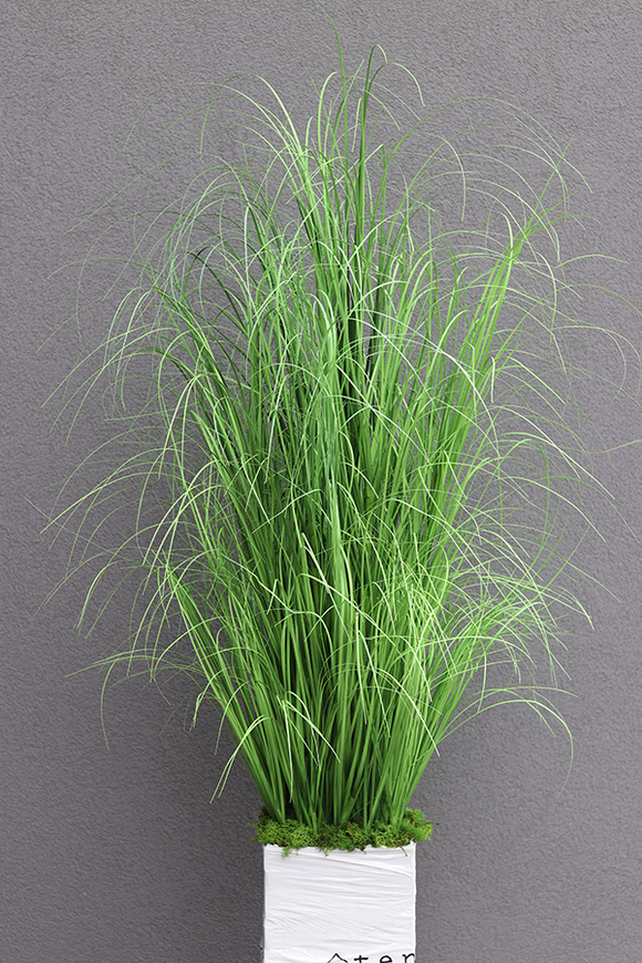 Belato, sztuczna trawa do twojej donicy, wys.170cm