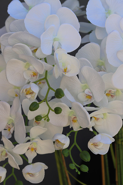 duży sztuczny storczyk w białej donicy, Milena Jerano 2, wys.124cm 