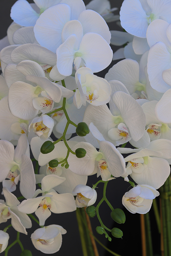 duży sztuczny storczyk w białej donicy, Milena Jerano 2, wys.124cm 