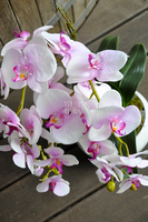 jasnoróżowy storczyk Terrance w białej donicy, wys.58cm