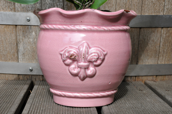 sztuczny storczyk Tenesse Pink w kolorze naturalnej bieli, wys. ok. 66cm