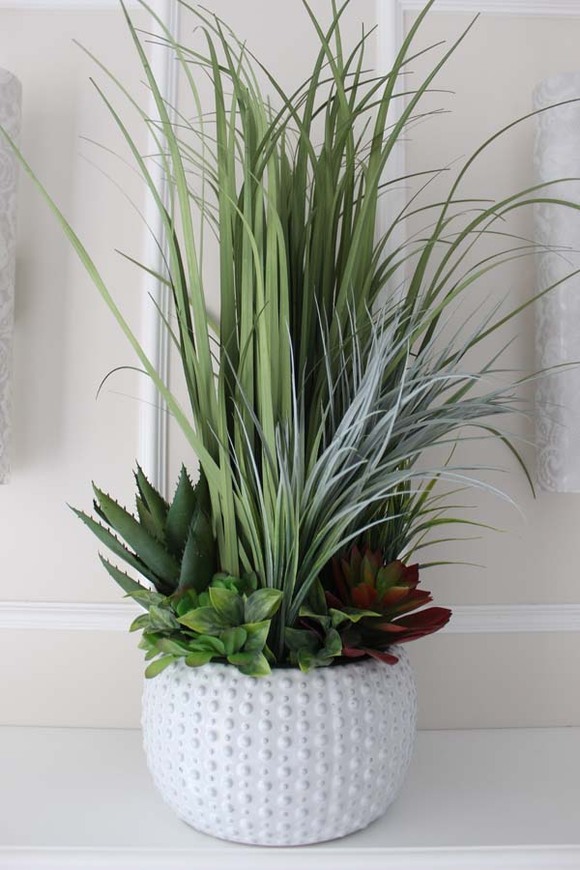 imponująca trawa z sukulentami, Monachium, wys.90cm
