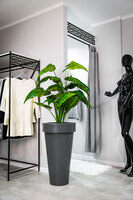 Pons donica antracyt 44x75cm