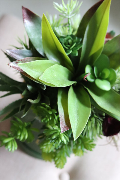 Alberto, flowerbox z sukulentów w zielonym pudełku, wys.36cm